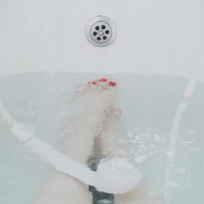 Boost Your Immune System with Cold Plunge Tubs