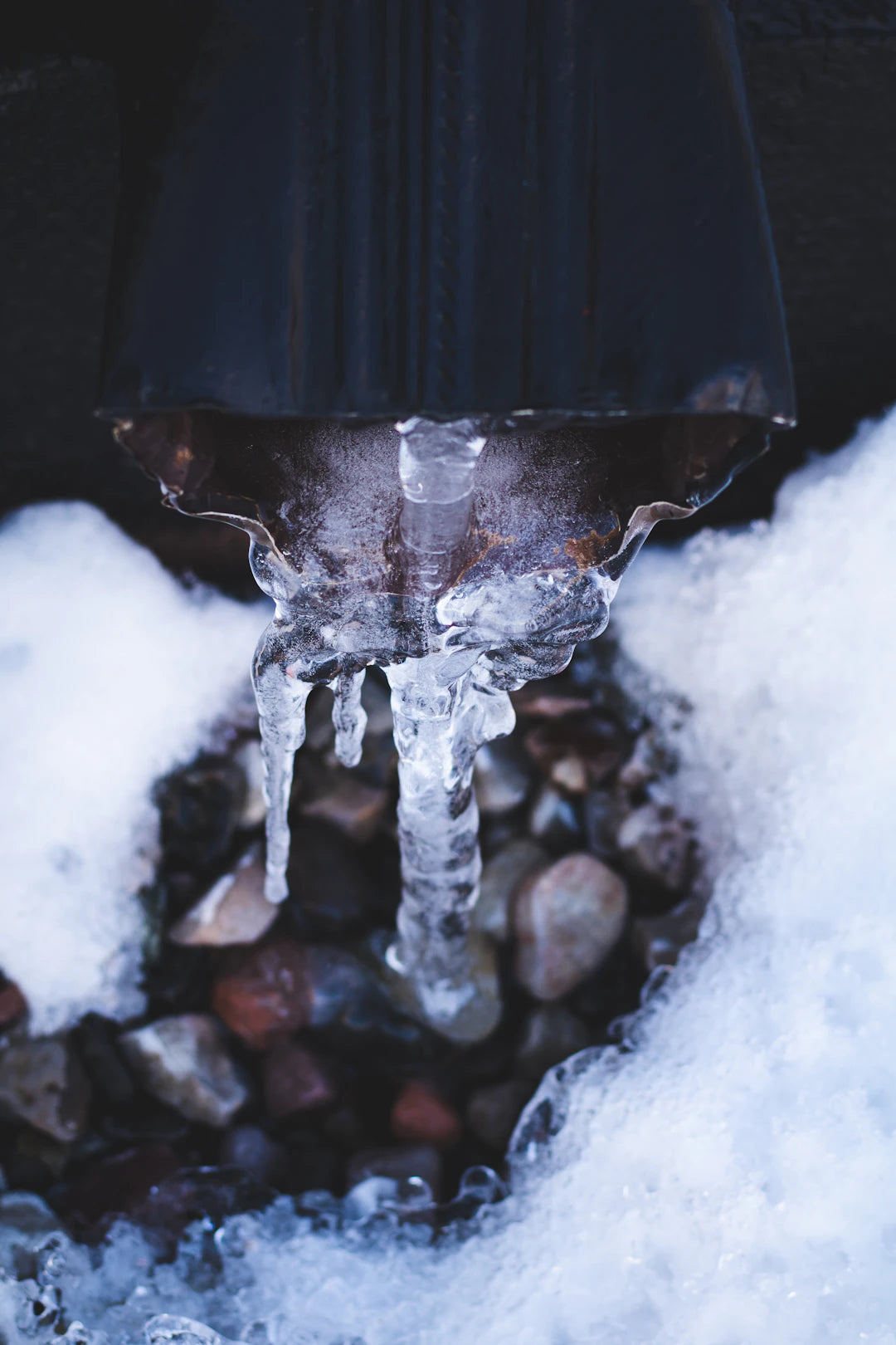 Uncovering the Truth Myths and Facts About Cold Water Therapy