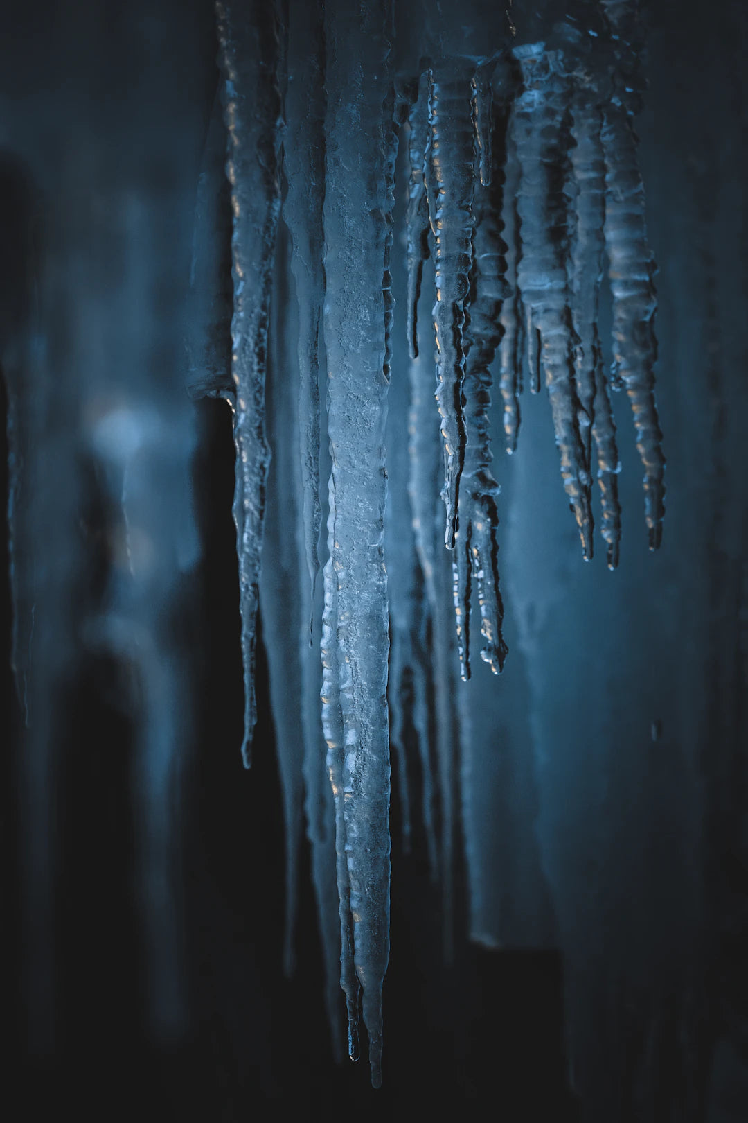 Mastering Cold Shock Response A Deep Dive