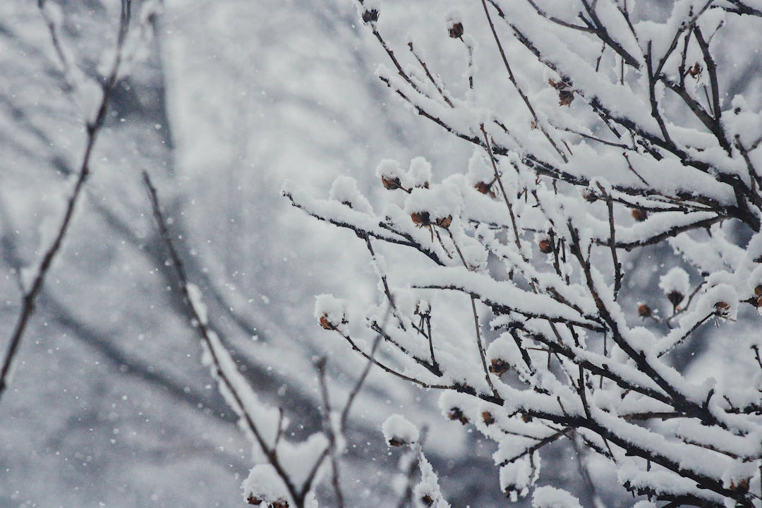 Discover How Cold Exposure Influences Sleep Quality