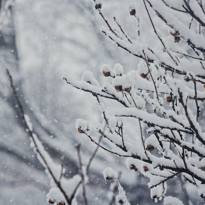 Discover How Cold Exposure Influences Sleep Quality