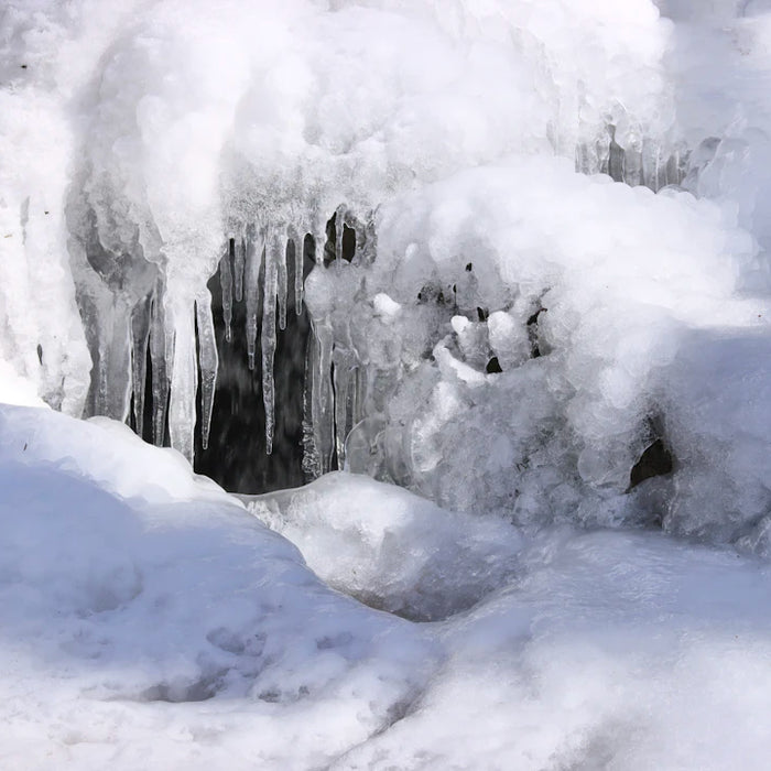 Incorporate Cold Plunge Therapy into Your Wellness Routine
