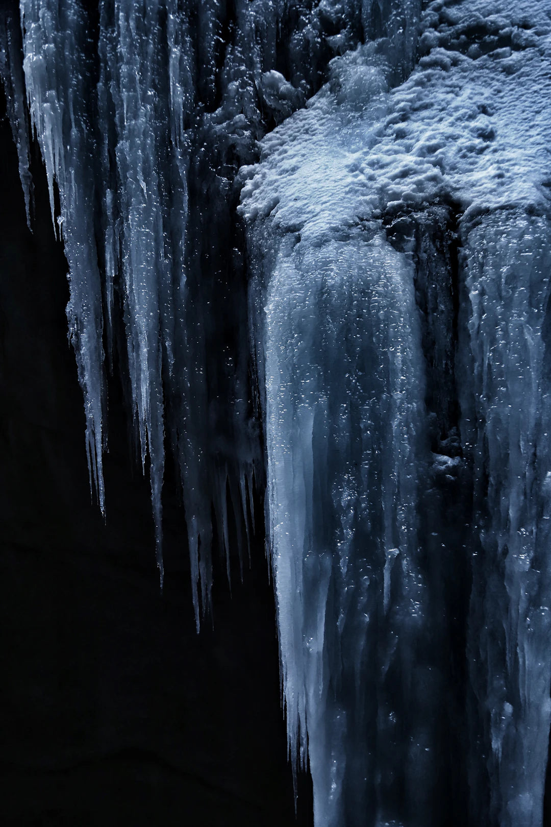 Discover How Cold Plunge Therapy Reduces Inflammation