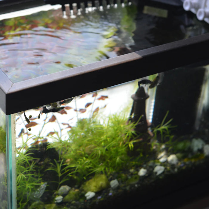 Compact Chillers for Efficient Hydroponics and Aquariums