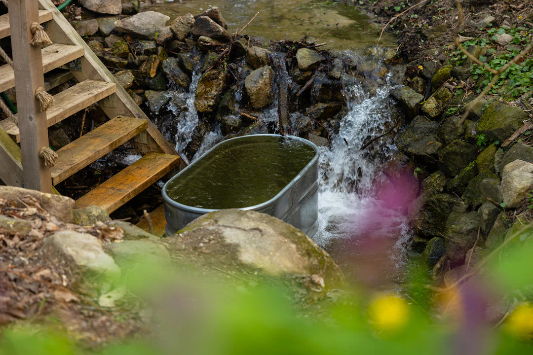 Unwind and Recover The Power of Cold Plunge Therapy