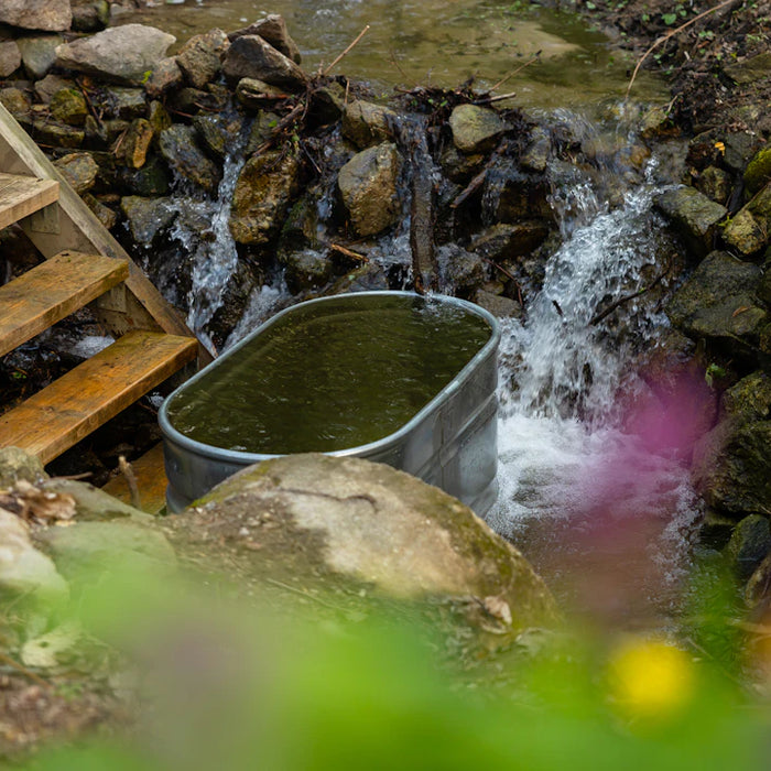 Unwind and Recover The Power of Cold Plunge Therapy
